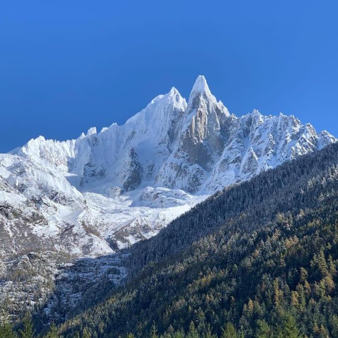 Belle Vue Des Praz Lejlighed Chamonix Eksteriør billede